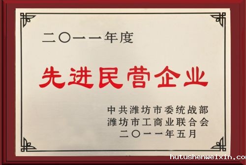 先进民营企业.jpg