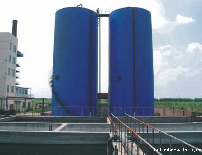 厌氧塔的结构组成以及特点。