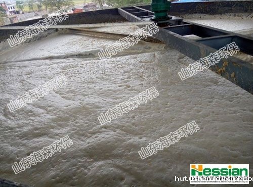 湖南食品废水处理现场